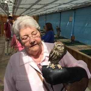 Meet your Posher, Pam